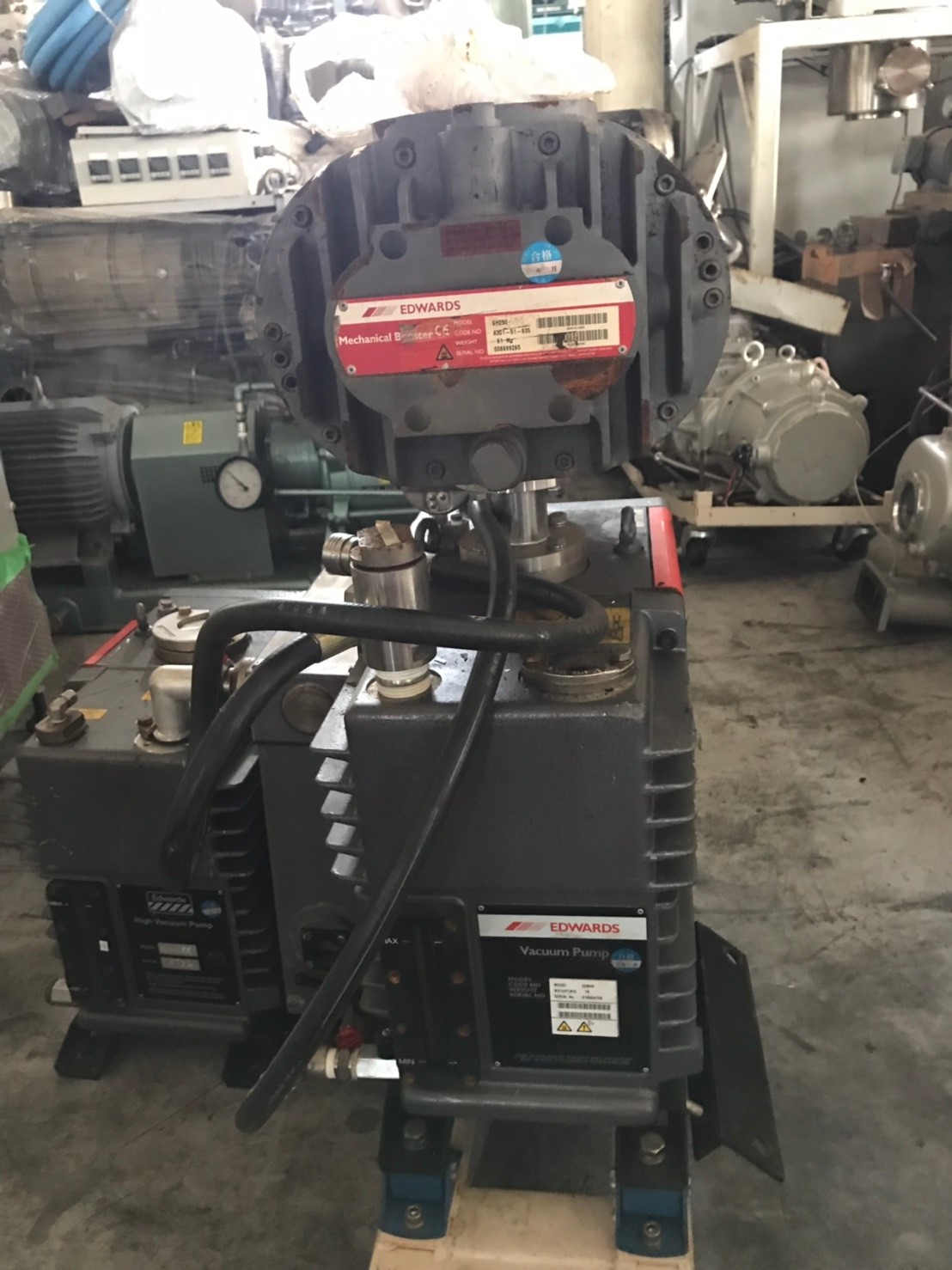 EDWARDS EH250+E2M-40 Rotary Pump圖片